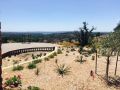 Wine tasting overlooking Torr La Lochs in Burnet Texas..